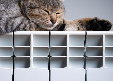 Un chat allongé sur un radiateur