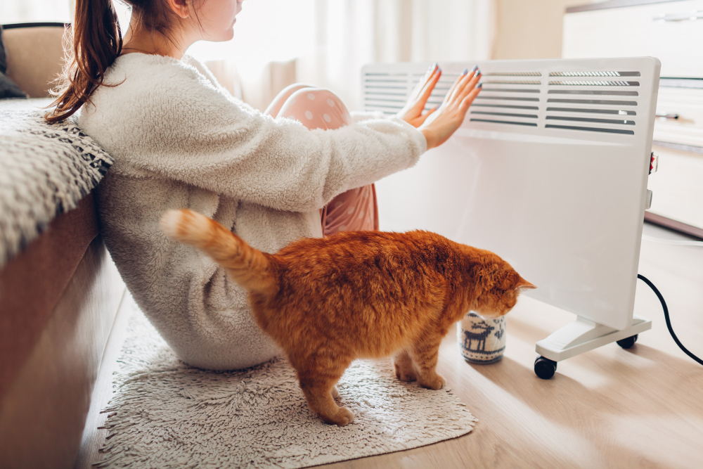 Un radiateur électrique mobile qui réchauffe une femme et un chat