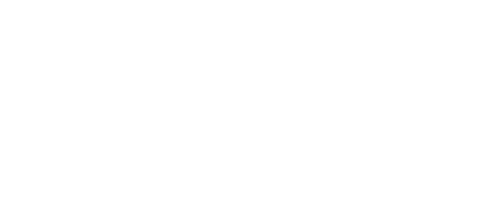 Logo blanc Logista Hometech